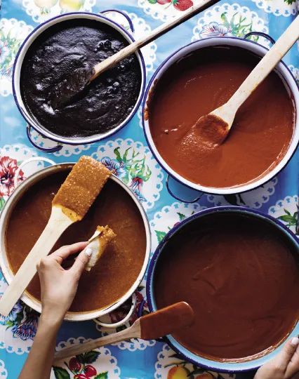 Mole Rojo from Oaxaca_ Home Cooking from the Heart of Mexico by Bricia Lopez and Javier Cabral